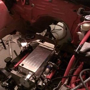 1069373 10201552936054563 2116556222 n