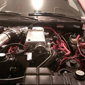 954633 10201573125239280 1807801710 n