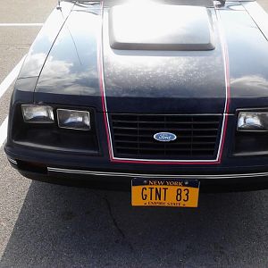 Hood and grille pinstripes in Red, Black and White to match the fender stripes and the GT Turbo logo.