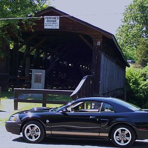 Mustang Road Trip 7 21 13 008