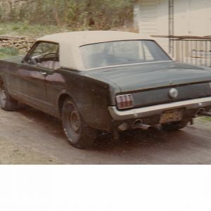 I cut off those exhaust extensions soon after this.