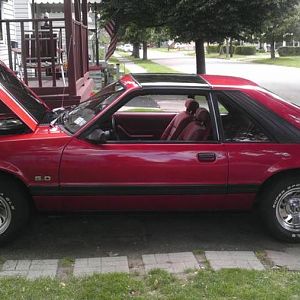 84 stang