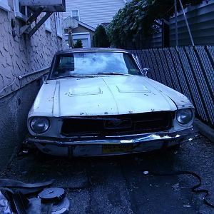 Mustang   ful front larger