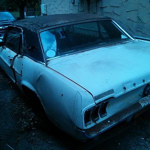 Mustang   back left 3:4