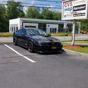 04 Mustang mach 1 (326)