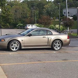 Love the Mineral Gray.