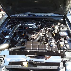 mustang underhood