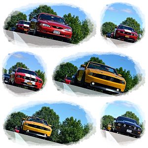 5th Annual NYM Western NY Letchworth Cruise