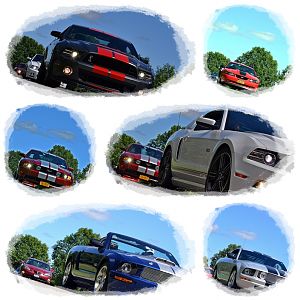 5th Annual NYM Western NY Letchworth Cruise