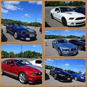 5th Annual NYM Western NY Letchworth Cruise