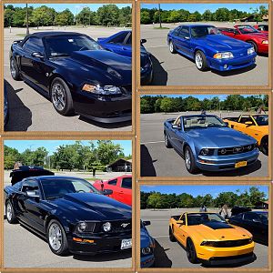 5th Annual NYM Western NY Letchworth Cruise