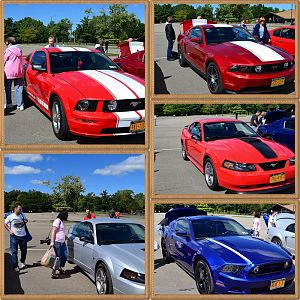 5th Annual NYM Western NY Letchworth Cruise