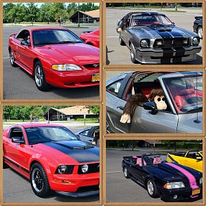 5th Annual NYM Western NY Letchworth Cruise