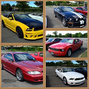 5th Annual NYM Western NY Letchworth Cruise