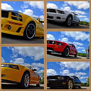 5th Annual NYM Western NY Letchworth Cruise