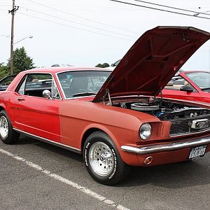 Stang in the Sun at Great Kills Park.