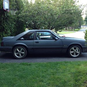 Before cutting the springs