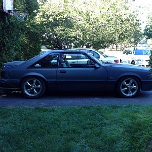 After cutting the springs