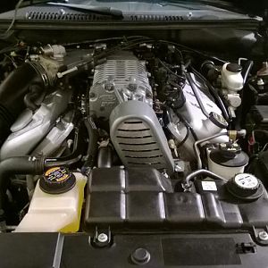 WP 20130916 00 15 19 Pro