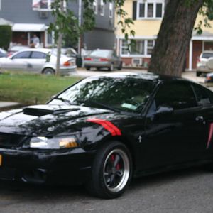 New  Fender Hash Marks Stripes