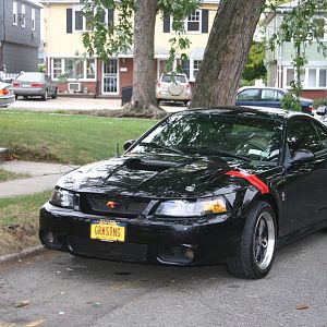 New  Fender Hash Marks Stripes