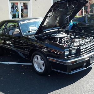 Nice clean capri