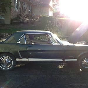 This is what it looked like when it came off the trailer.