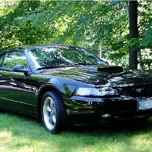 BULLITT in Corinth, NY 1