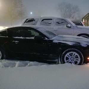 She's making it through another tough winter with flying colors!