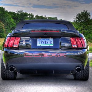 04 Cobra rear