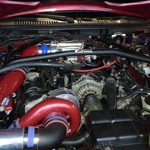 Cleaned up engine bay