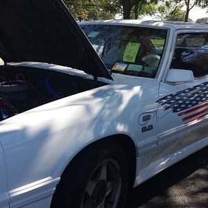 AmericanAngelGlenIsland