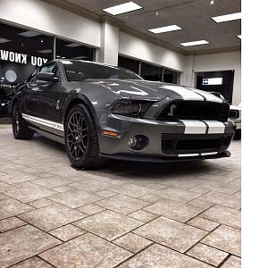 2014 gt500