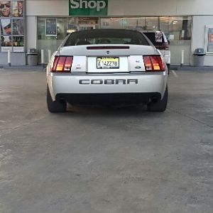 Gotta love that behind!