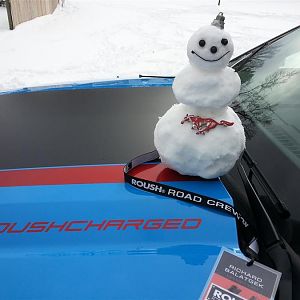 20140214 122416 (Medium)