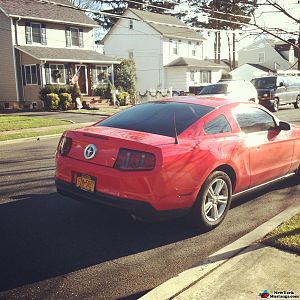 20% tints, painted backlights