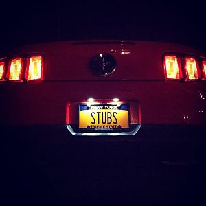 New custom plates with the already installed LED plate lights