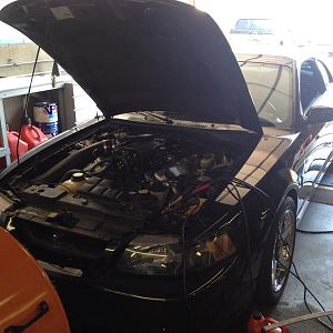 On the Dyno..Car getting tuned at RealSpeed by owner Dan Carlson. Very happy to have the car in his hands and  am very happy with the results!