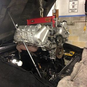 Heart Transplant..photo would look a lot better if I had dished out the extra money for some long tubes. Instead the rusty exhaust manifolds are an ey