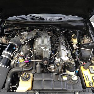 Old Eaton/nitrous engine bay shot (engine is seized in this picture waiting for the tow to RealSpeed)