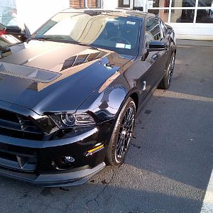 2014 SHELBY 4.8.13.jpg1