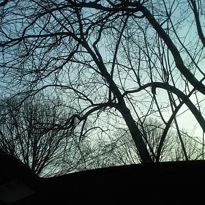 2014 SHELBY 4.8.13.jpg2.jpgGLASS ROOF