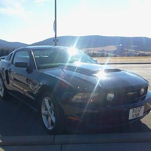 another one from the drive back to new york after she arrived in the states