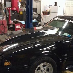 New Hood, 4" Cowl to windshield made by Harwood