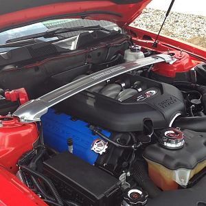 Ford Strut Tower Brace
Blue Ford Coil Covers
Red Line Hood Struts