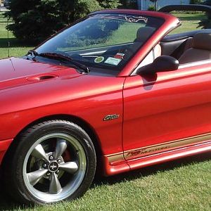 Stang12 001