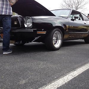 sick cobra love the colors black and gold!