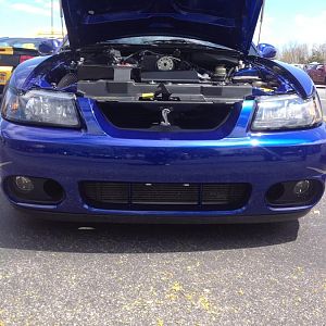 termi! took the photo for a friend that has a nasty custom built termi