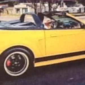 Sound traxx show mag shot.