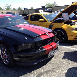 Sting Gang AHRC 2014